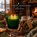 The Forest Meditation Collection | Sacred Forest Candle & Meditation Incense (Bundle)